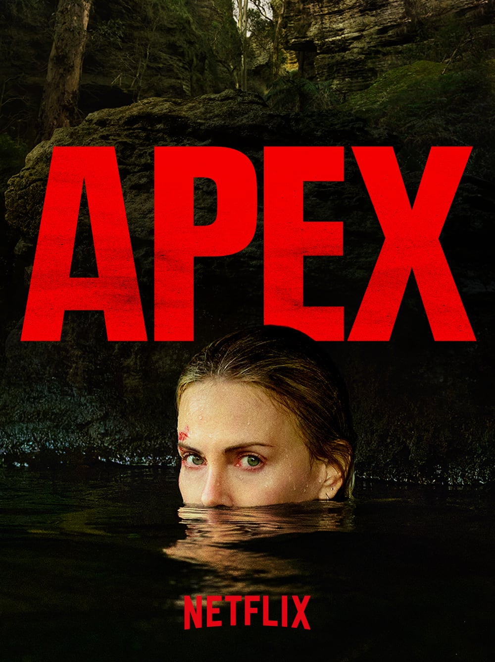 Titelbild zum Netflix-Film Apex
