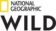 NatGeo Wild HD