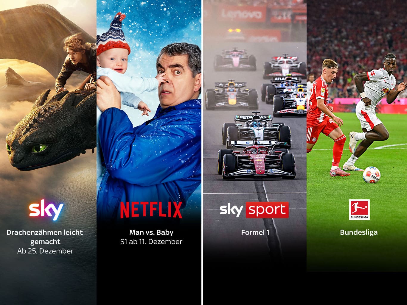 Alles von Sky inkl. Netflix