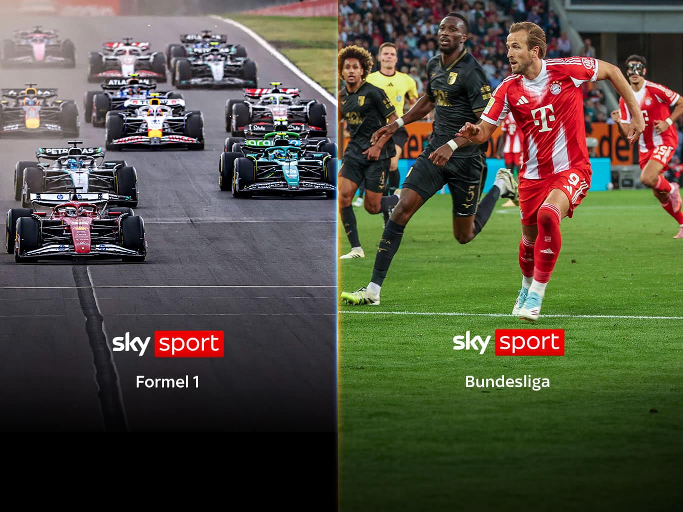 Alles von Sky inkl. Netflix