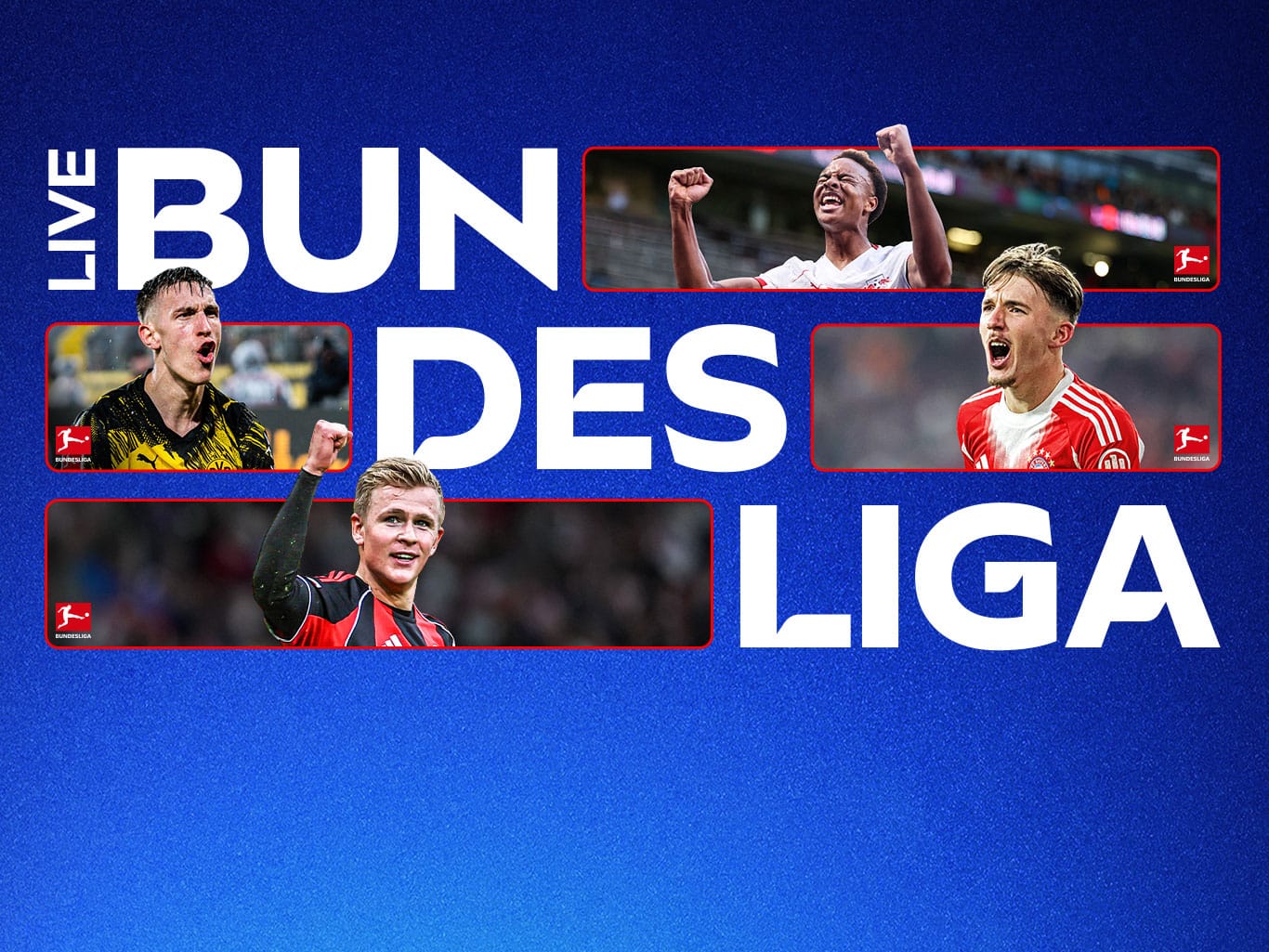 Bundesliga und 2. Bundesliga